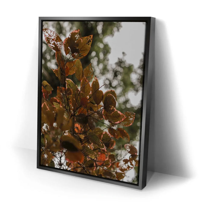 Featured image 2 for Aging In Nature - Maui, Hawaii