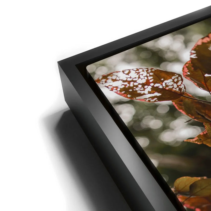 Featured image 11 for Aging In Nature - Maui, Hawaii