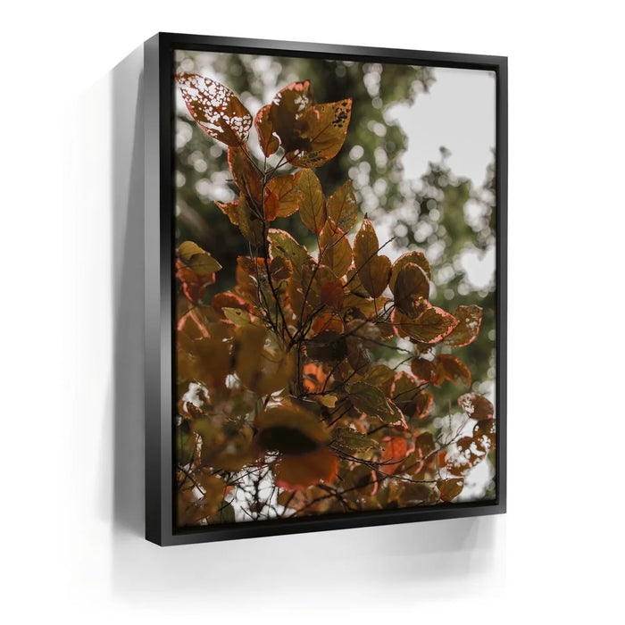 Featured image 5 for Aging In Nature - Maui, Hawaii