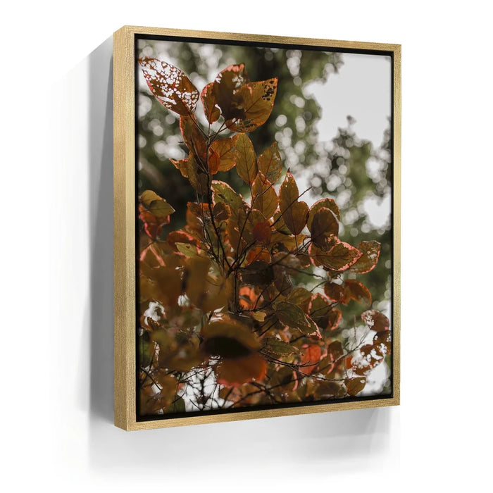 Featured image 7 for Aging In Nature - Maui, Hawaii