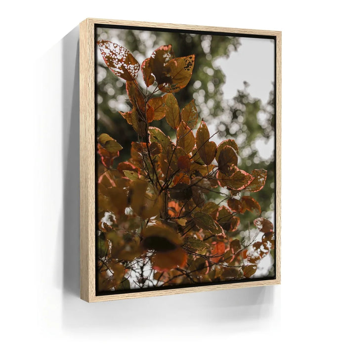 Featured image 9 for Aging In Nature - Maui, Hawaii