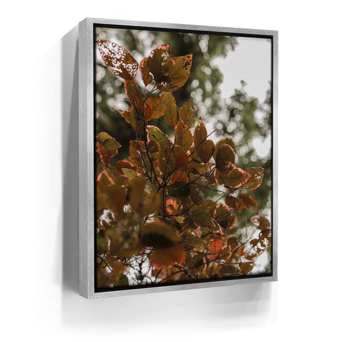 Featured image 8 for Aging In Nature - Maui, Hawaii