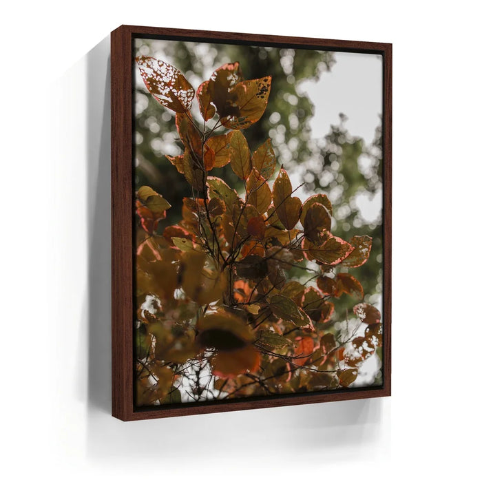 Featured image 10 for Aging In Nature - Maui, Hawaii