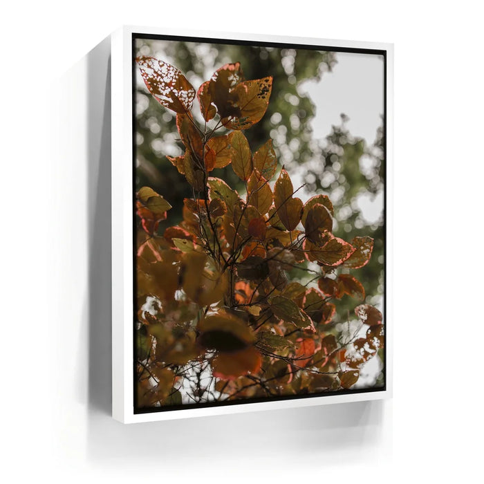 Featured image 6 for Aging In Nature - Maui, Hawaii