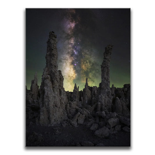 Alien Forest - Mono Lake, California