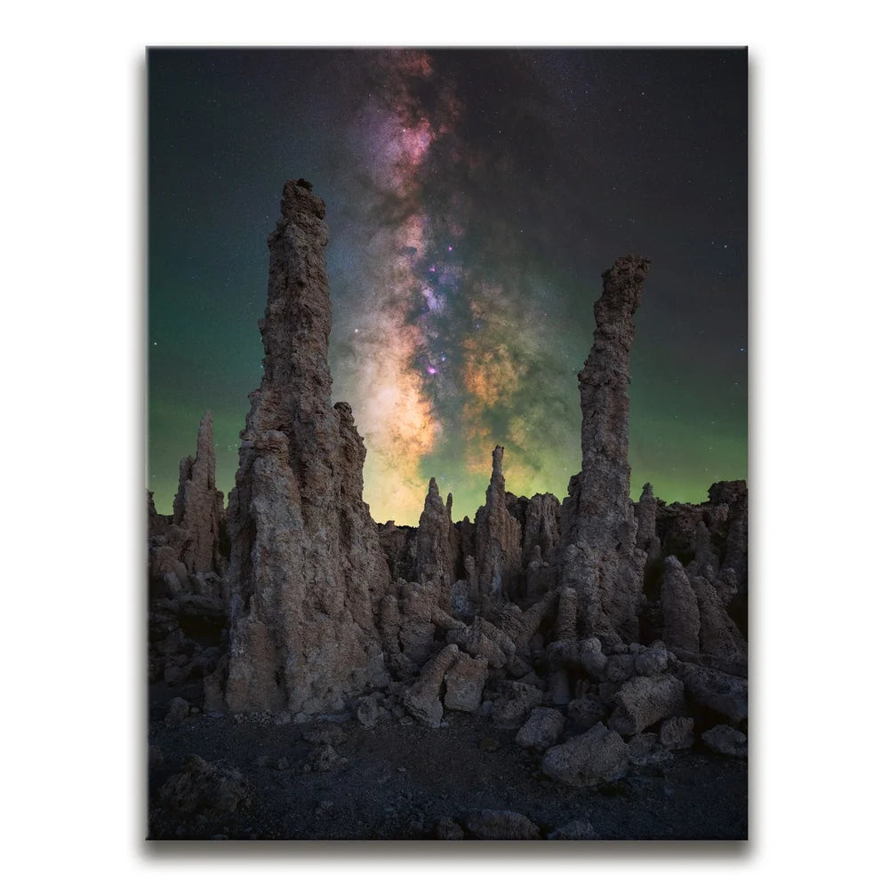 Featured image 1 for Alien Forest - Mono Lake, California