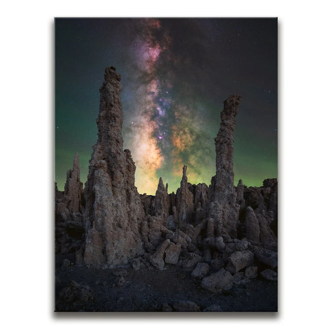 Featured image 1 for Alien Forest - Mono Lake, California