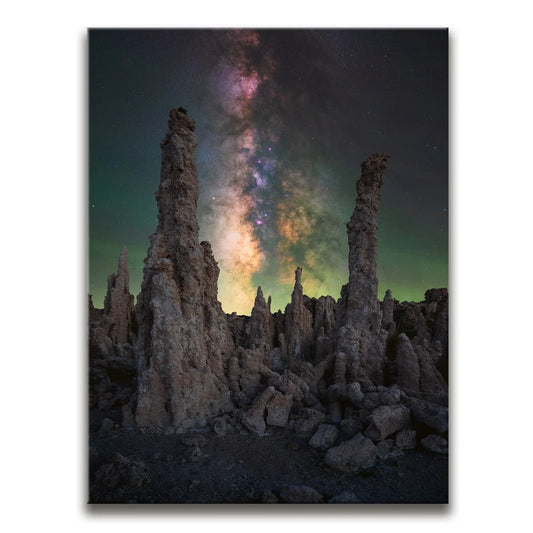 Alien Forest - Mono Lake, California