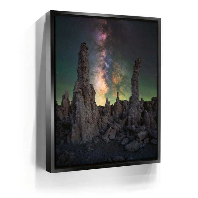 Featured image 5 for Alien Forest - Mono Lake, California