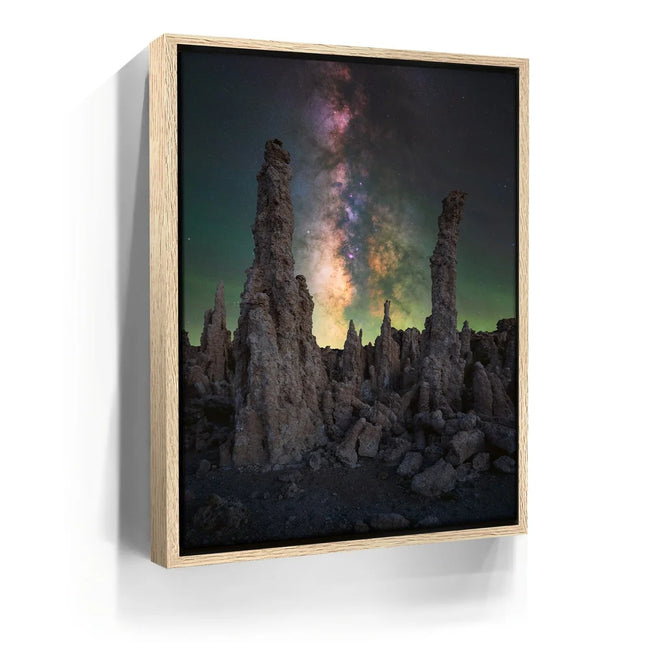 Featured image 9 for Alien Forest - Mono Lake, California