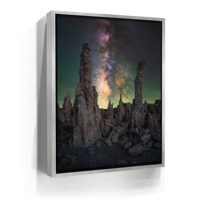 Featured image 8 for Alien Forest - Mono Lake, California