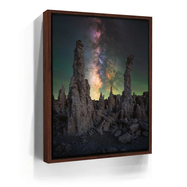 Featured image 10 for Alien Forest - Mono Lake, California
