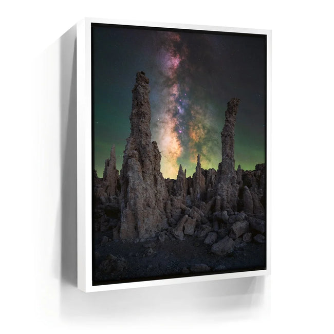 Featured image 6 for Alien Forest - Mono Lake, California
