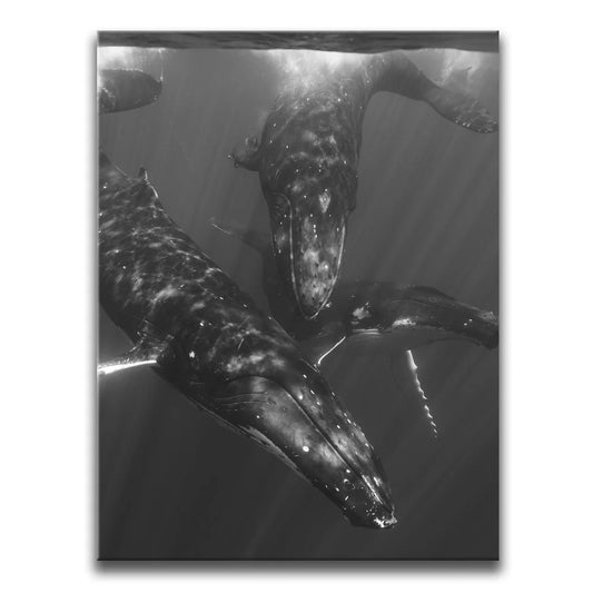 All Together In B&W - Tahiti