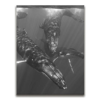 All Together In B&W - Tahiti