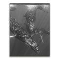 Featured image 1 for All Together In B&W - Tahiti