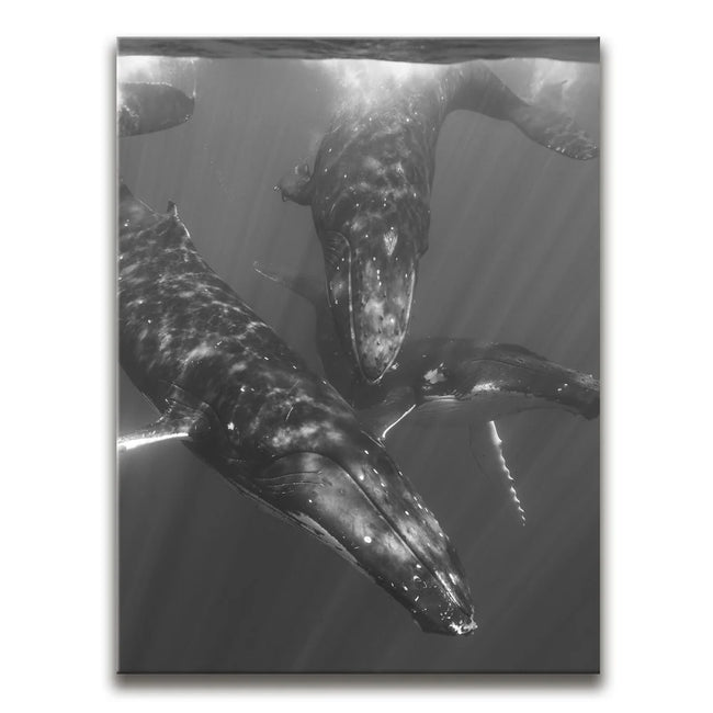 Featured image 1 for All Together In B&W - Tahiti