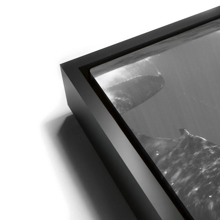 Featured image 11 for All Together In B&W - Tahiti