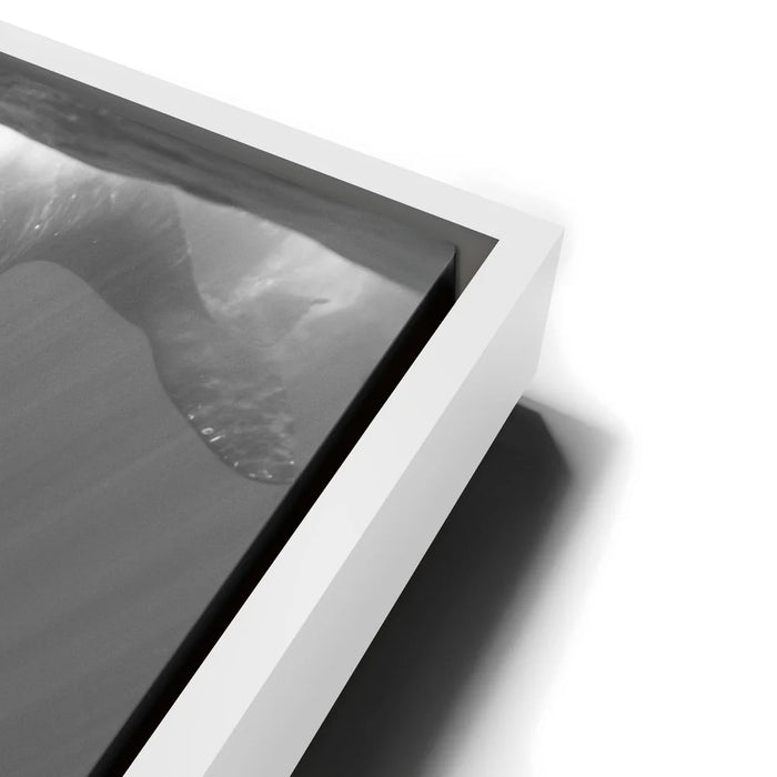 Featured image 13 for All Together In B&W - Tahiti