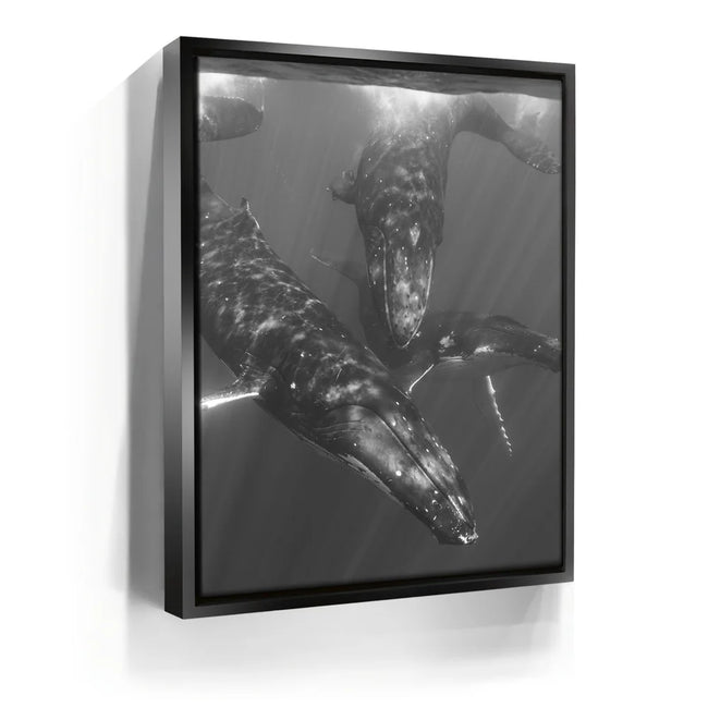 Featured image 5 for All Together In B&W - Tahiti