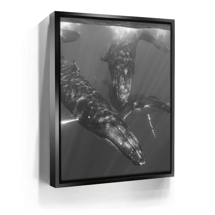 Featured image 5 for All Together In B&W - Tahiti