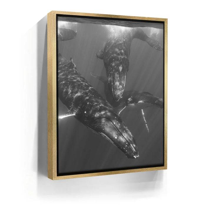 Featured image 7 for All Together In B&W - Tahiti