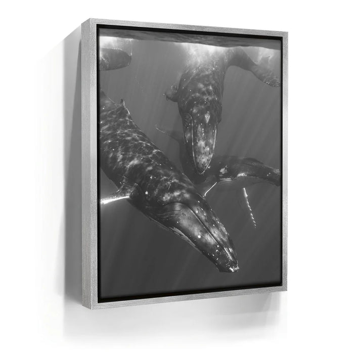 Featured image 8 for All Together In B&W - Tahiti