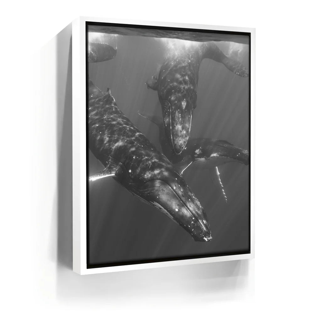 Featured image 6 for All Together In B&W - Tahiti