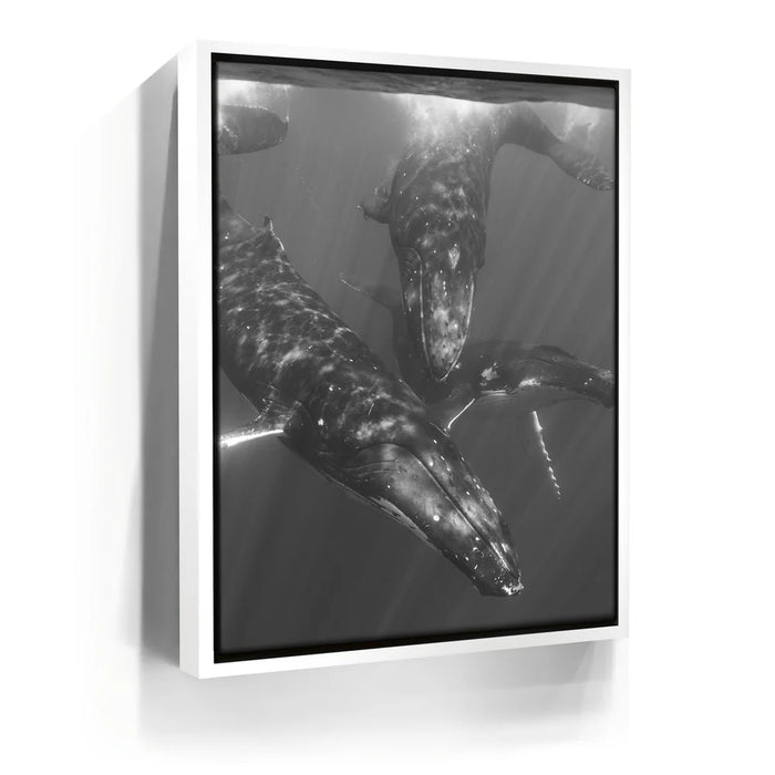 Featured image 6 for All Together In B&W - Tahiti