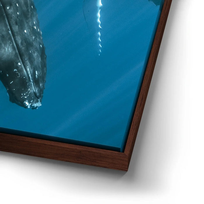 Featured image 14 for All Together In Blue - Tahiti