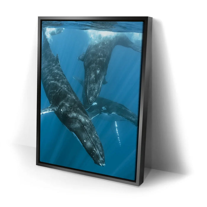 Featured image 2 for All Together In Blue - Tahiti