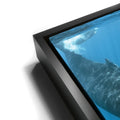 Thumbnail image 11 for All Together In Blue - Tahiti