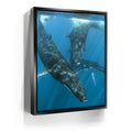 Featured image 5 for All Together In Blue - Tahiti