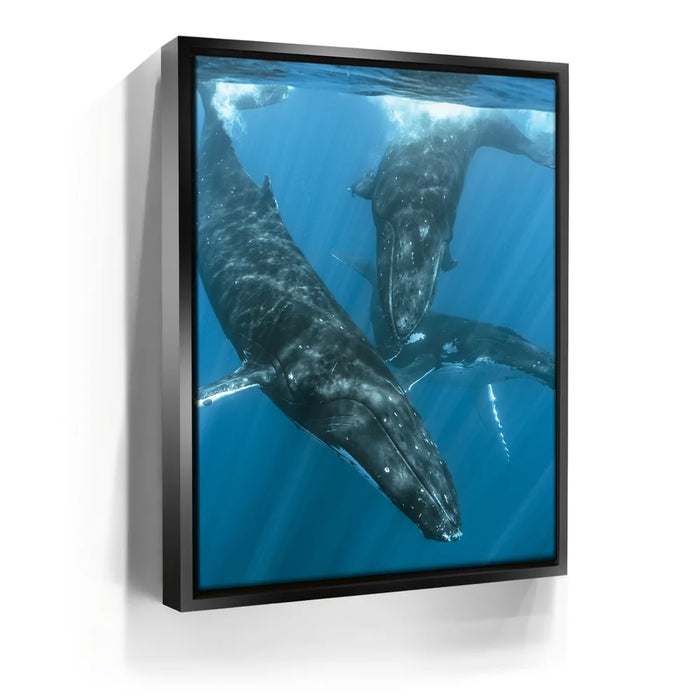 Featured image 5 for All Together In Blue - Tahiti