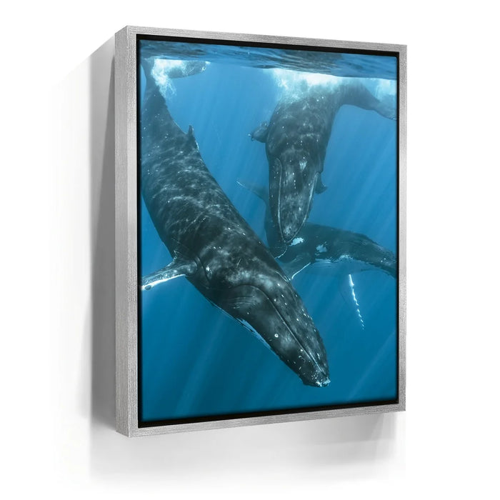 Featured image 8 for All Together In Blue - Tahiti