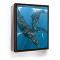 Featured image 10 for All Together In Blue - Tahiti