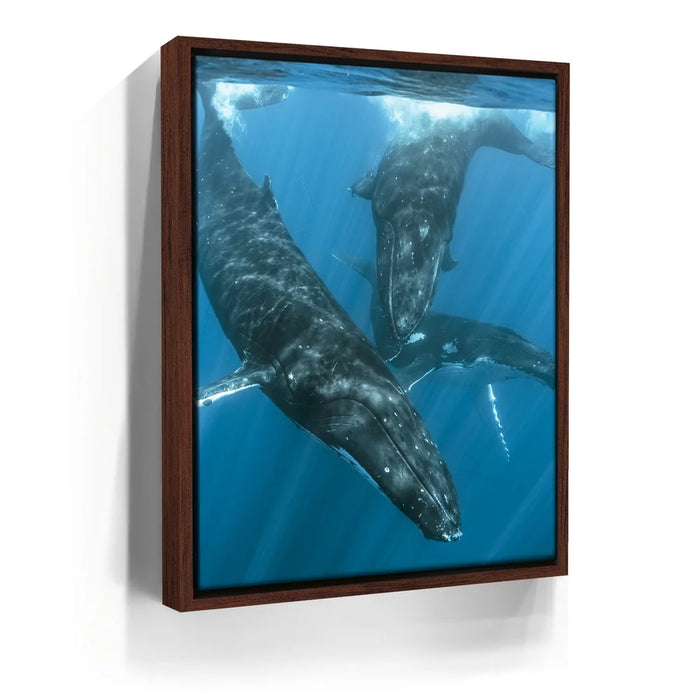 Featured image 10 for All Together In Blue - Tahiti