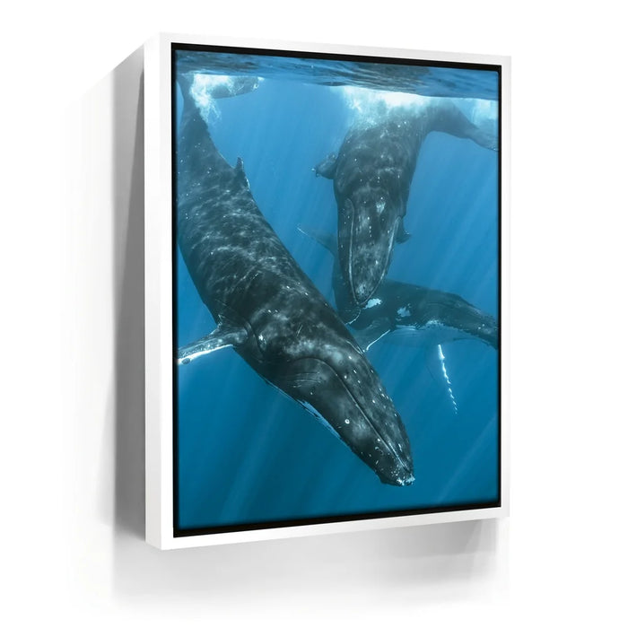 Featured image 6 for All Together In Blue - Tahiti