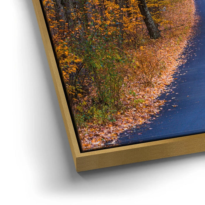 Featured image 12 for Amber Trail