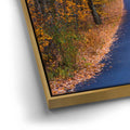 Thumbnail image 12 for Amber Trail