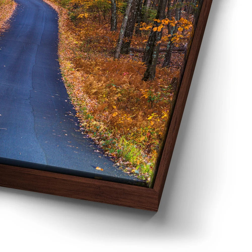 Featured image 14 for Amber Trail
