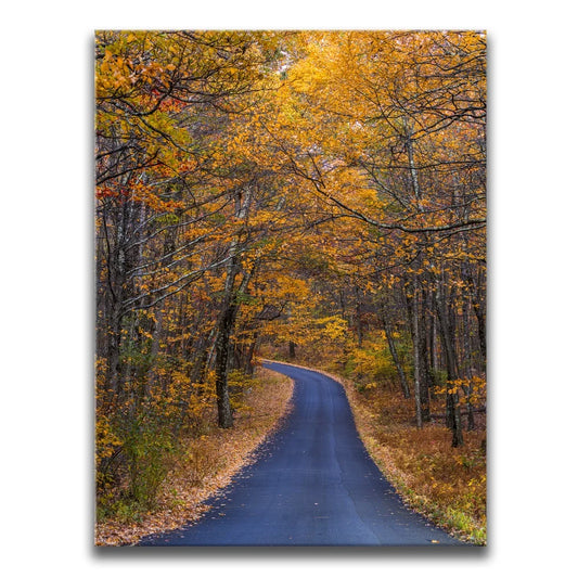 Amber Trail
