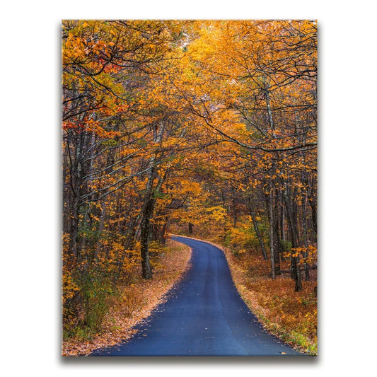 Amber Trail Posters, Prints, & Visual Artwork TheGoatWallArt PORTRAIT 18x24 0.75" STANDARD