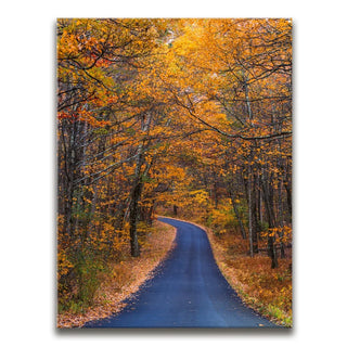 Amber Trail