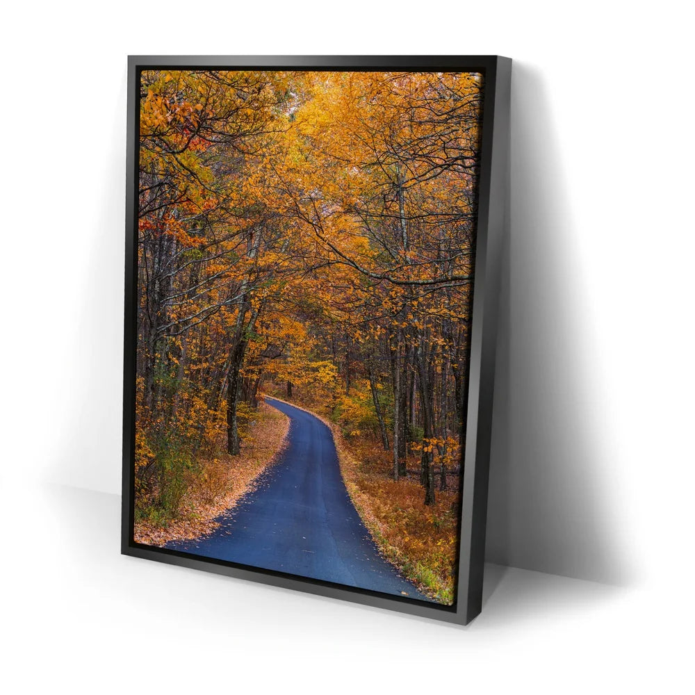 Featured image 2 for Amber Trail