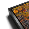 Thumbnail image 11 for Amber Trail