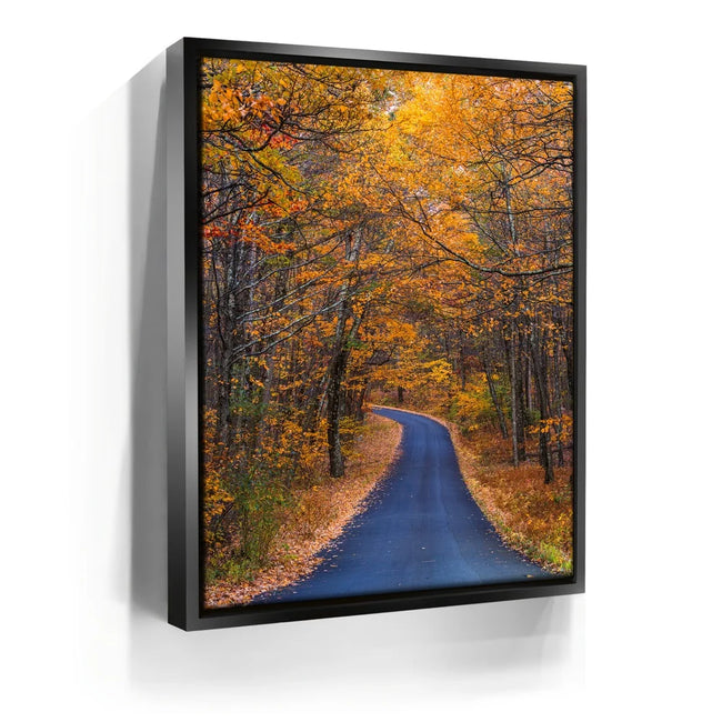 Featured image 5 for Amber Trail