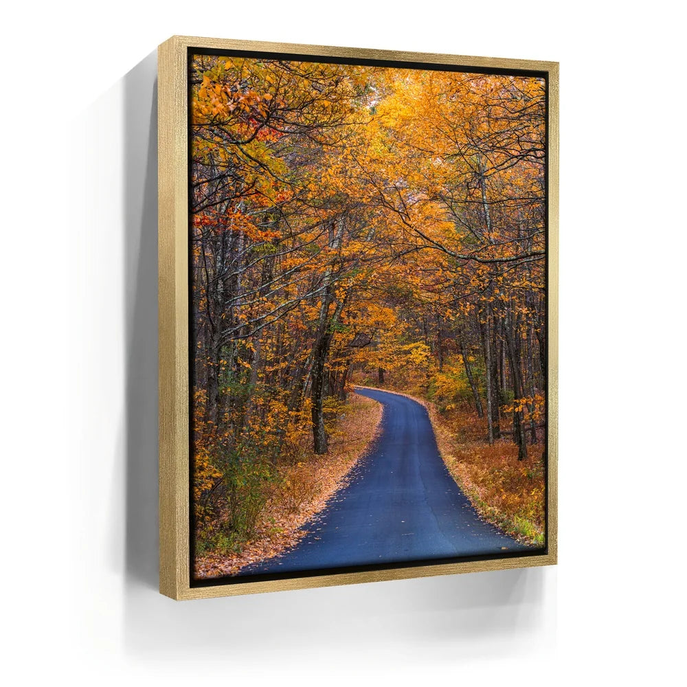 Featured image 7 for Amber Trail