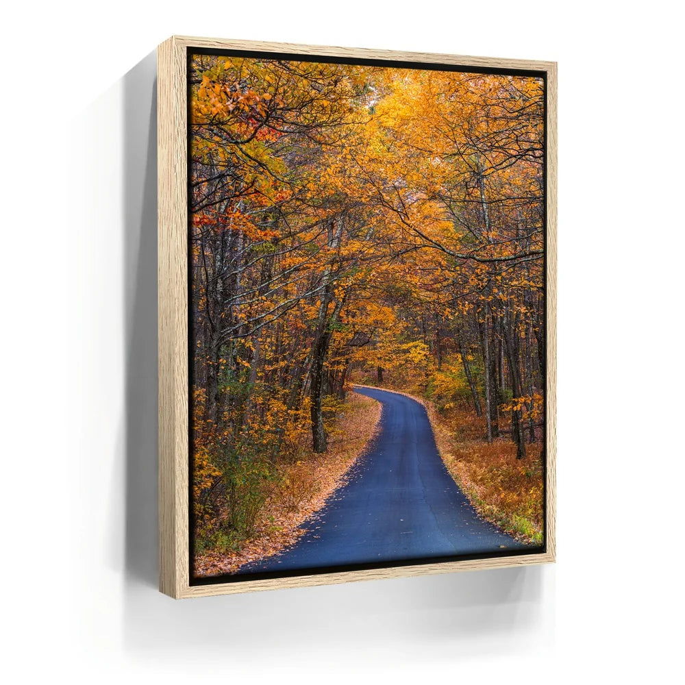 Featured image 9 for Amber Trail