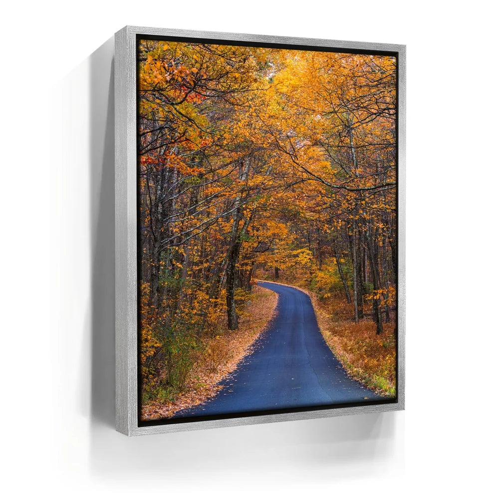 Featured image 8 for Amber Trail